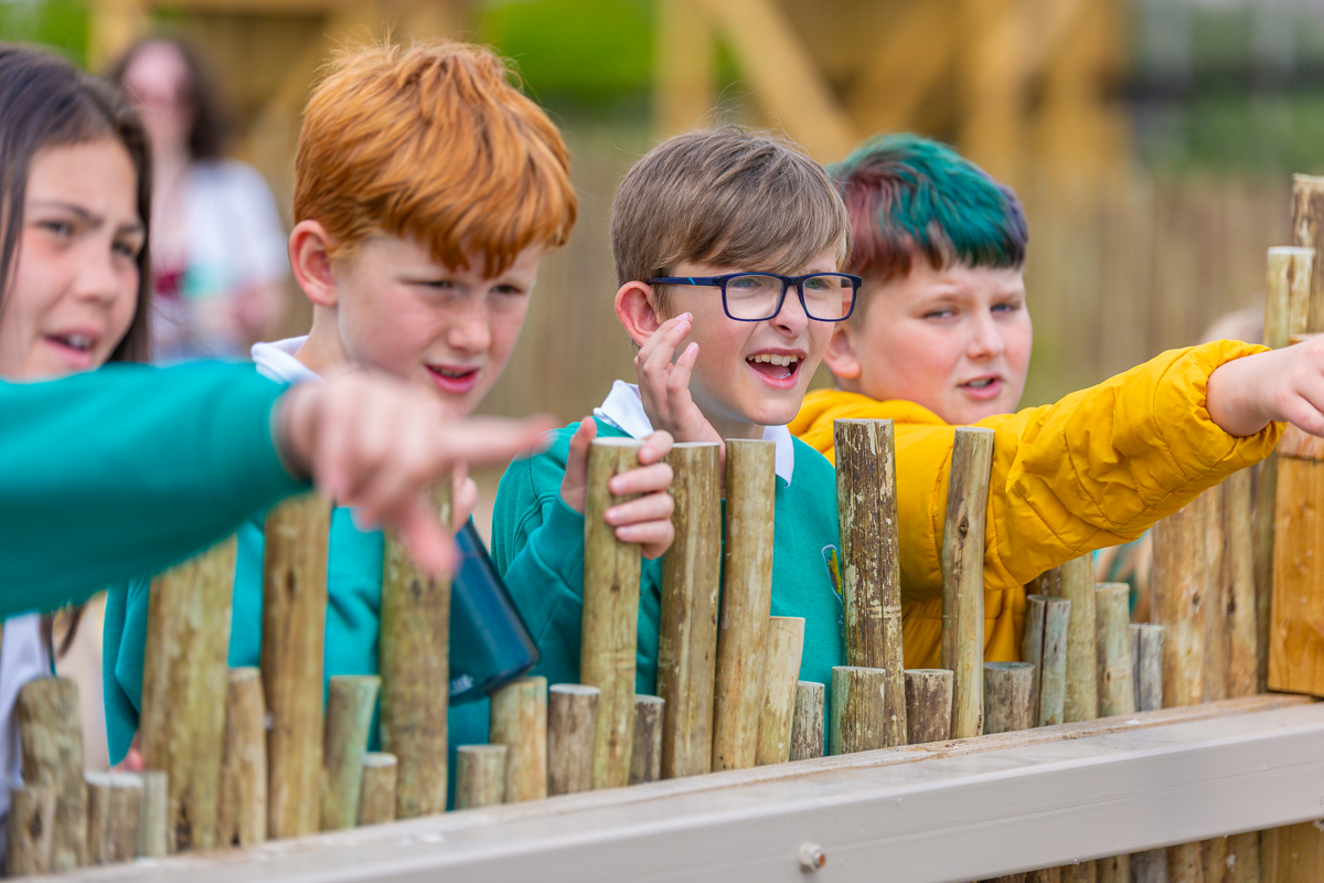 Skills Builder Activity
