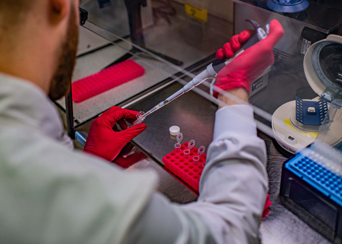 Skills, Science and saving species - Life in our Endocrinology laboratory