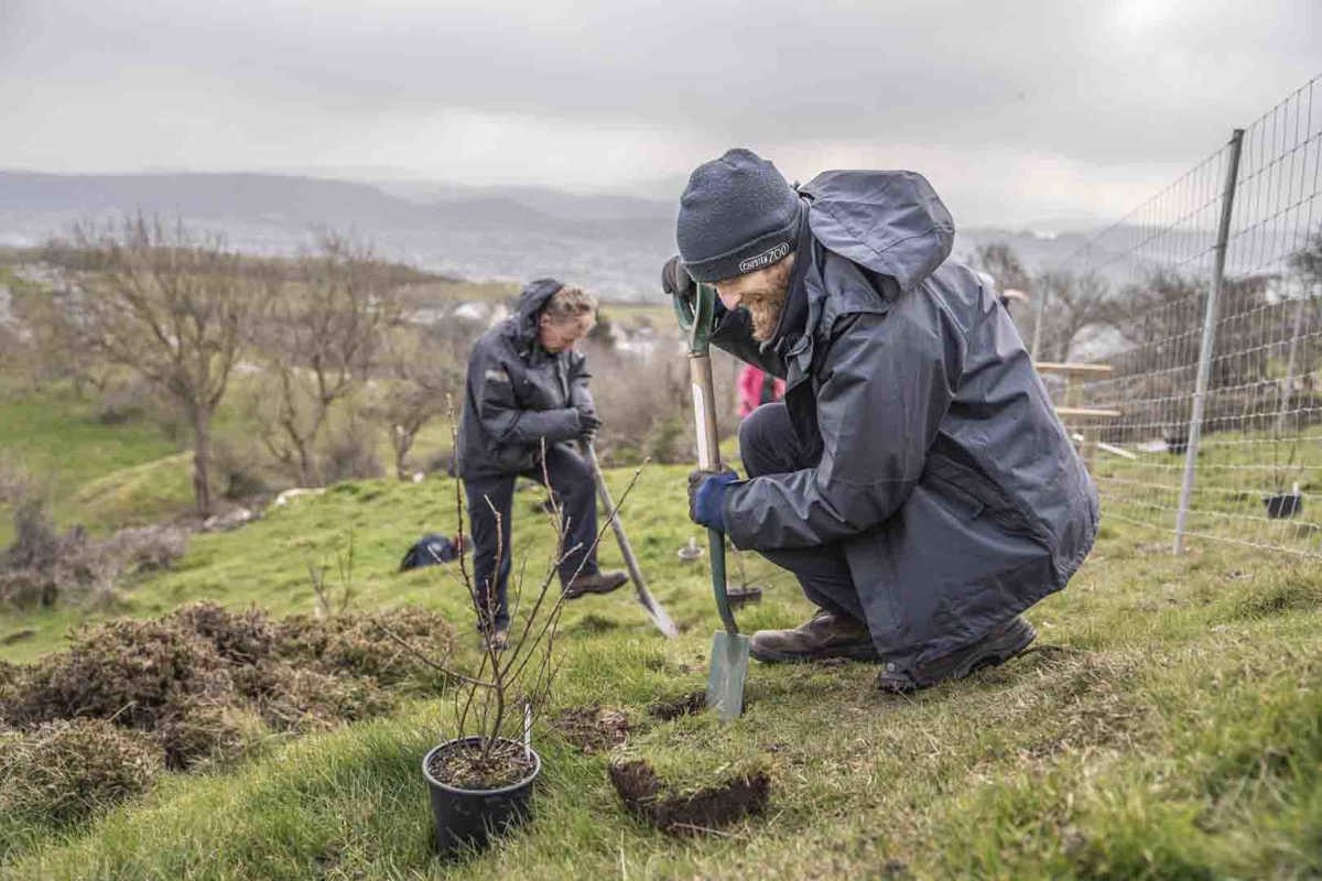 Zoo’s rescue mission to save one of the world’s rarest plants from ...