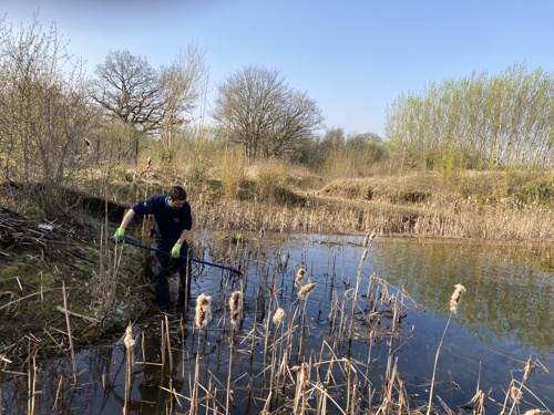 A Chester Zoo team member working on the estate. They are dipping an instrument into a pond
