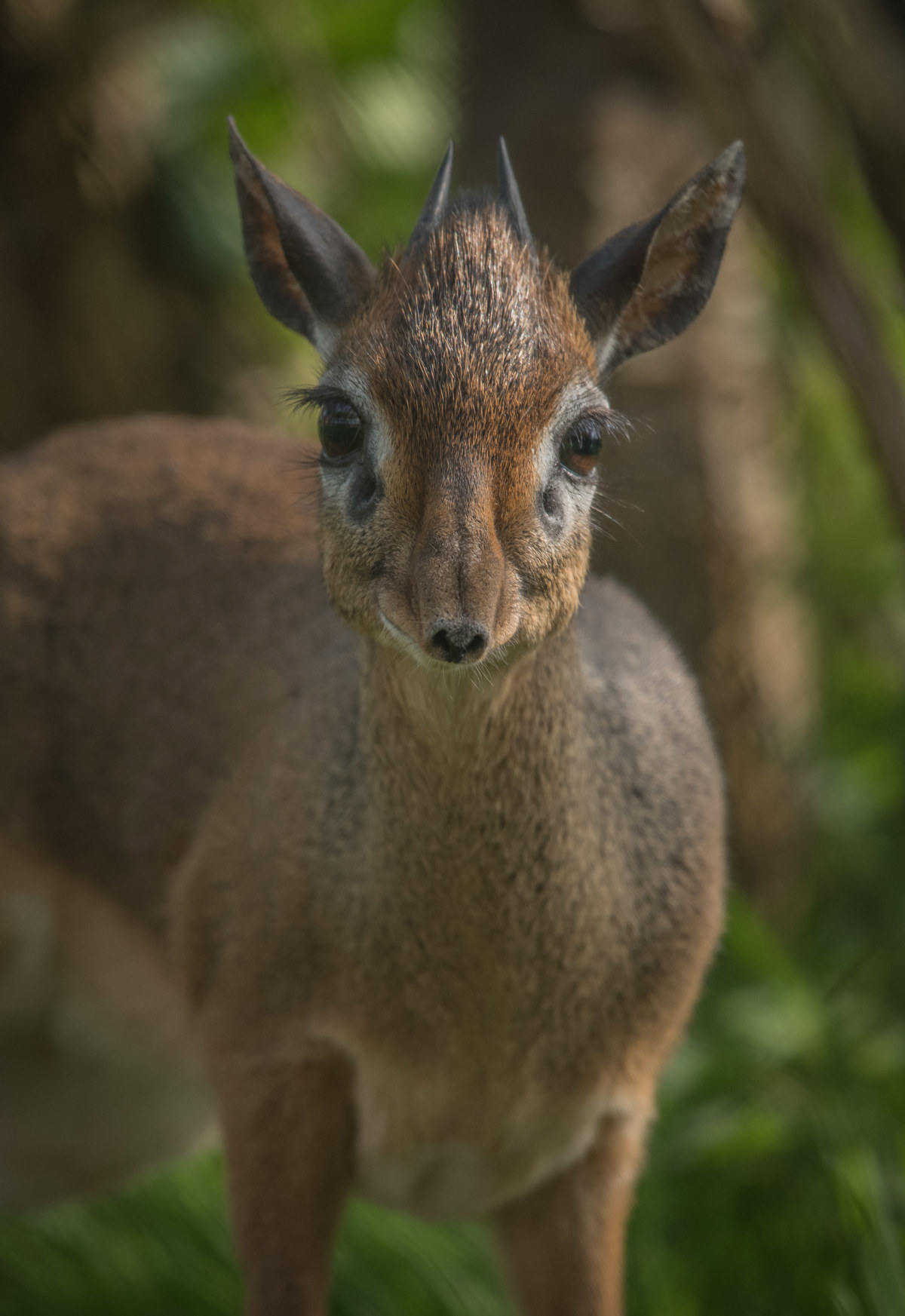 Жасөспірімдерге арналған оргия порно онлайн
