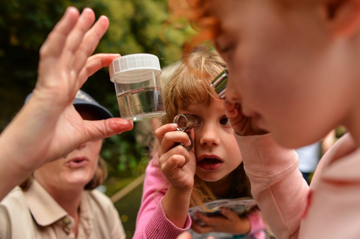 Mini Rangers Holiday Clubs | Chester Zoo