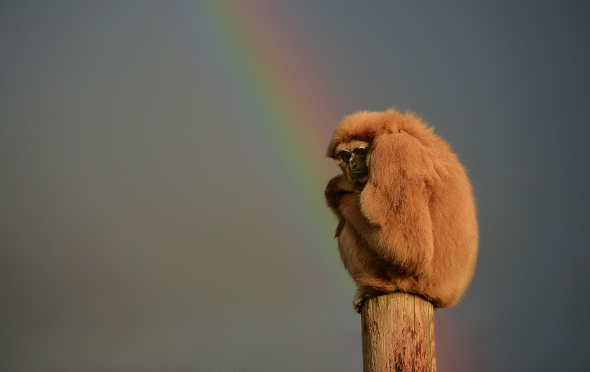 app-czn-prod-uks-headless.azurewebsites.net image